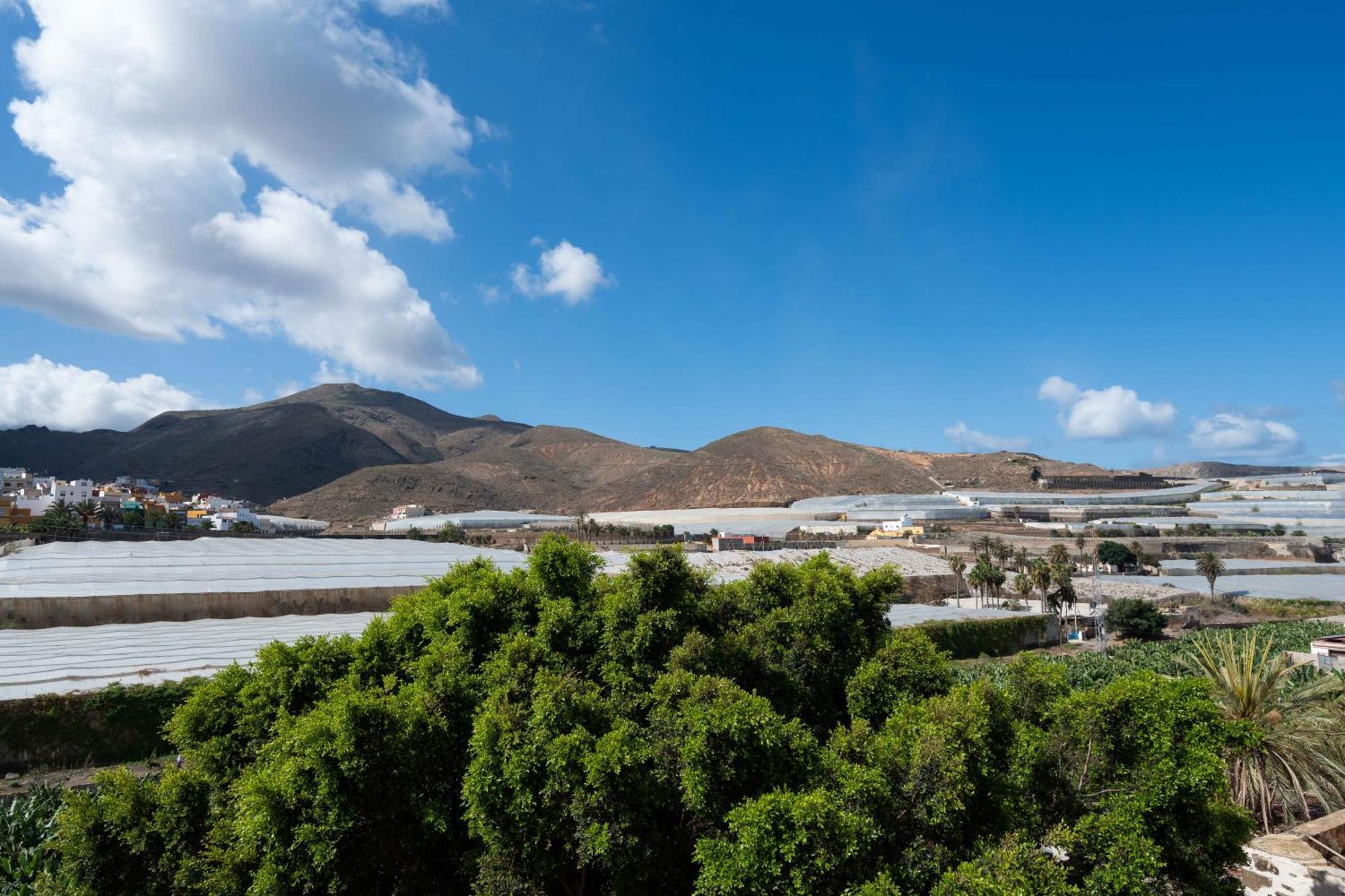 Las Fajanas De Galdar Las Palmas de Gran Canaria Bagian luar foto
